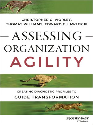 cover image of Assessing Organization Agility